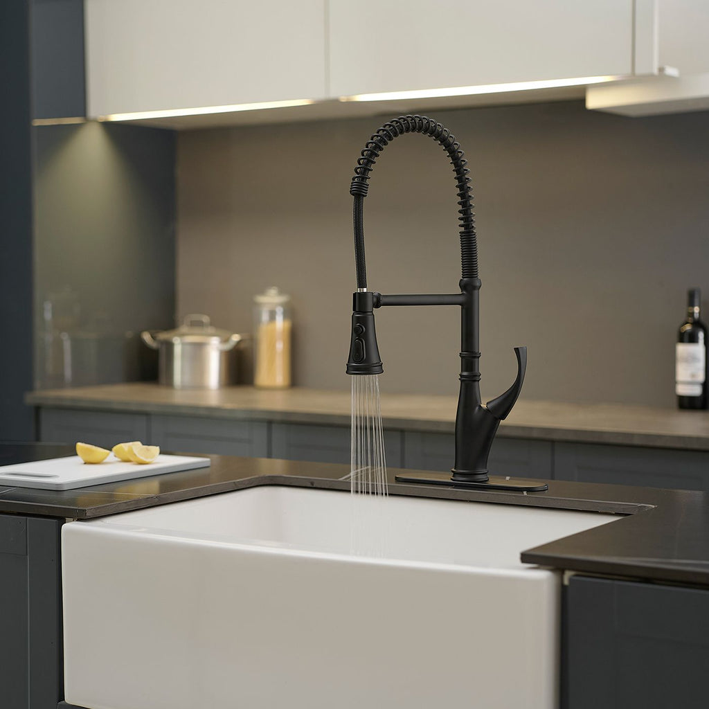 Pull-Down Sprayer Kitchen Faucet, High Arc