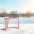 Street Hockey Goal, 35" x 18" – Portable Steel Frame